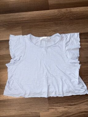 Altar'd State Pale Blue Ruffle Sleeve Crop Top